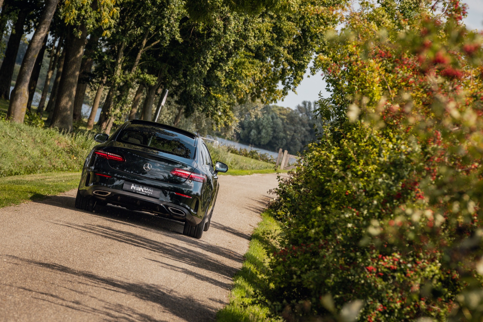 Gallery gallery_images_3_8_17606406991852700510.jpg  | Maas Auto's